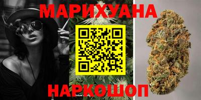 сатива Краснознаменск