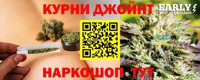 сатива Краснодар