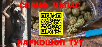 сатива Краснознаменск