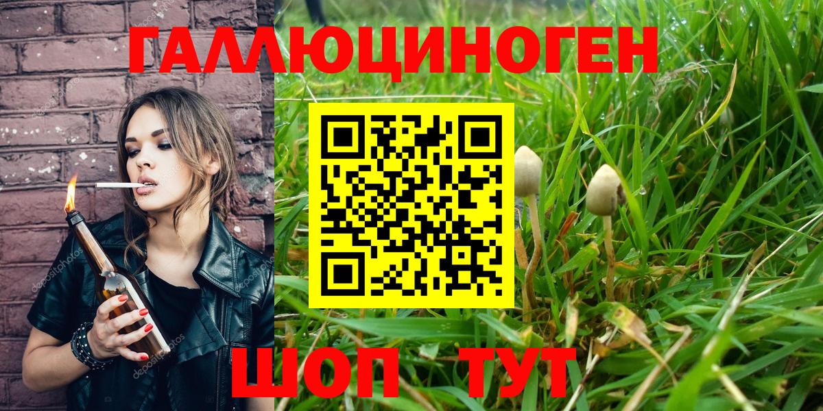 Псилоцибиновые грибы прущие грибы  Вход с VPN  Чебаркуль 